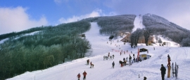  For ski fanatics the descent of the slope on Mount Pelion is most definitely something to be added to the list!   The slopes and ski lift open from December onwards.